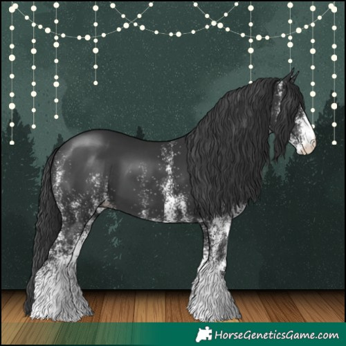 Horse Color:White Spotted Black