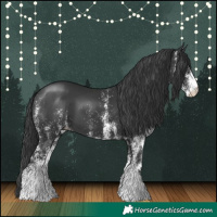 Horse Color:White Spotted Black 