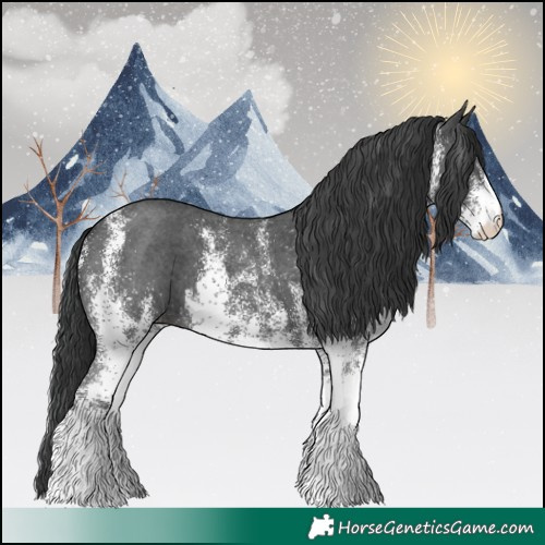 Horse Color:White Spotted Black