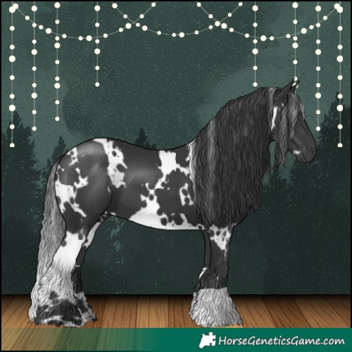 Horse Color:White Spotted Black 