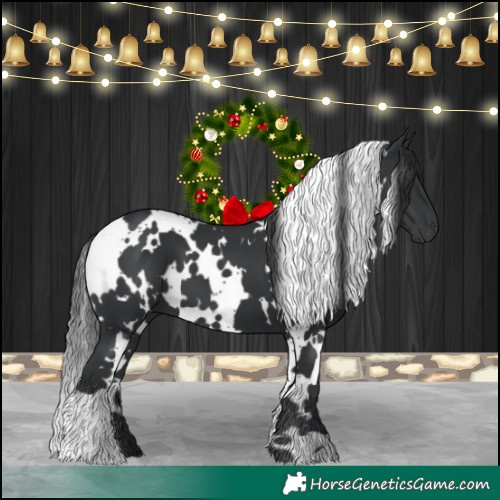 Horse Color:White Spotted Black 