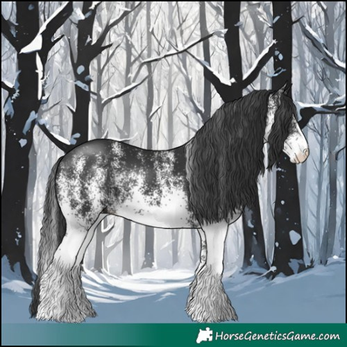 Horse Color:White Spotted Black