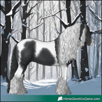 Horse Color:Black Tobiano 