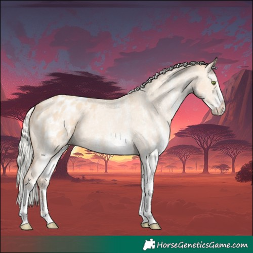 Horse Color:White Spotted Silver Amber Champagne Dun Appaloosa 