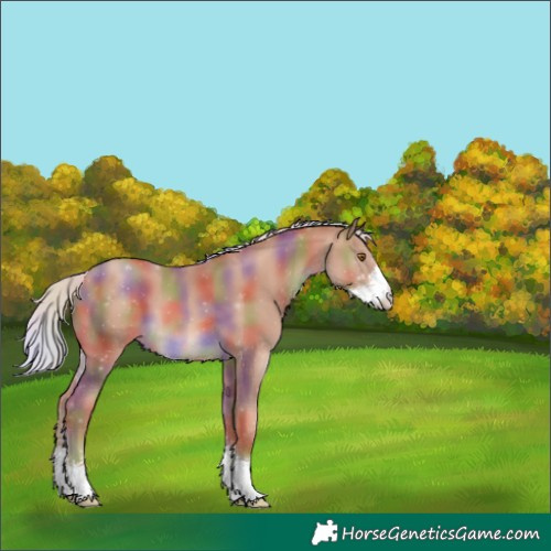 Horse Color:Nacre Silver Classic Champagne Sabino 