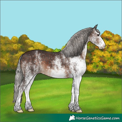 Horse Color:White Spotted Silver Brown 