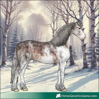 Horse Color:White Spotted Silver Brown Ice