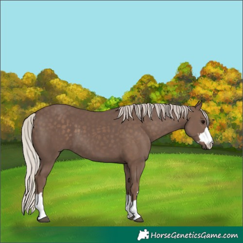 Horse Color:Silver Black 