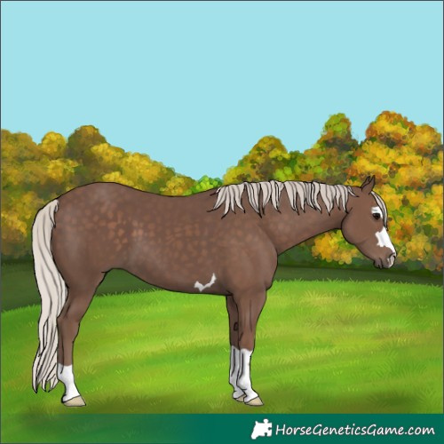 Horse Color:Silver Black 