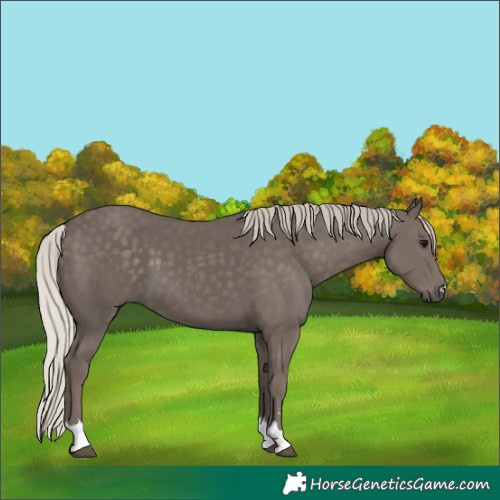 Horse Color:Silver Black 