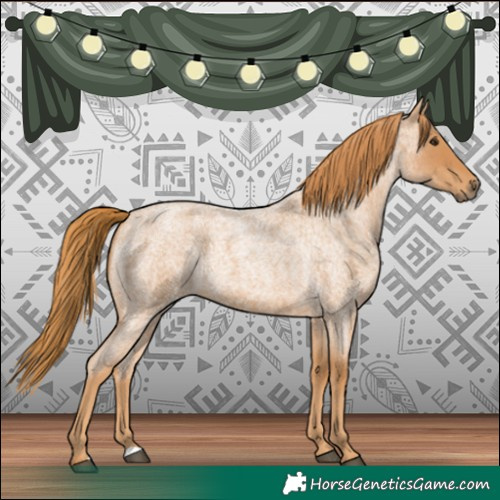 Horse Color:Red Roan