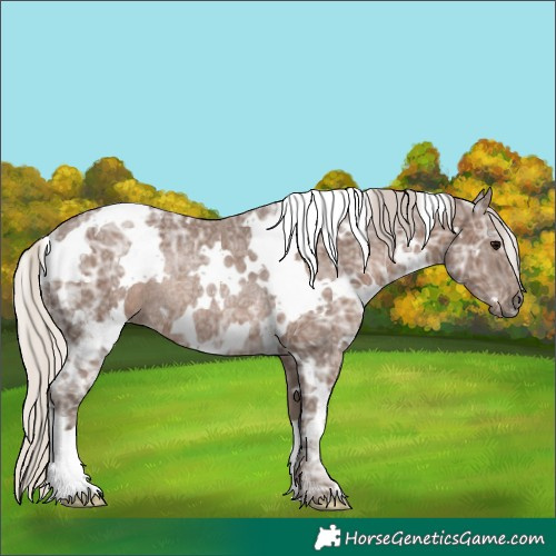 Horse Color:White Spotted Silver Black Ice Rabicano 