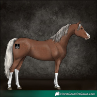 Horse Color:Silver Black Splash 