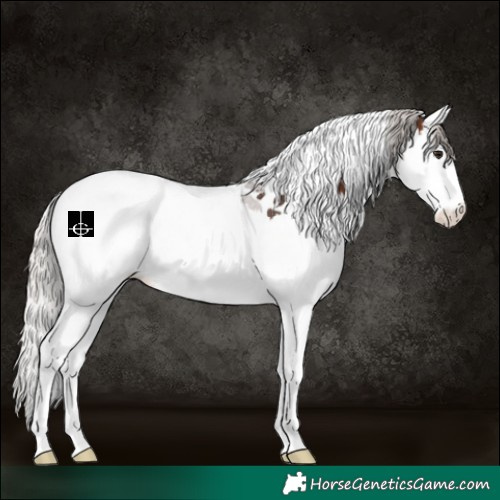 Horse Color:Silver Brown Splash Tobiano 