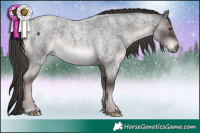 Horse Color:Platinum Liver Red Roan 