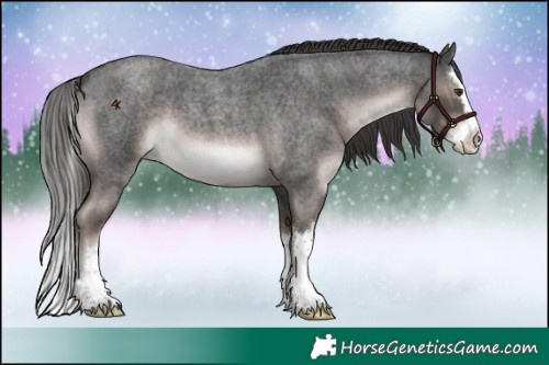 Horse Color:Platinum Liver Red Roan Splash