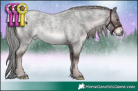 Horse Color:Platinum Liver Red Roan 