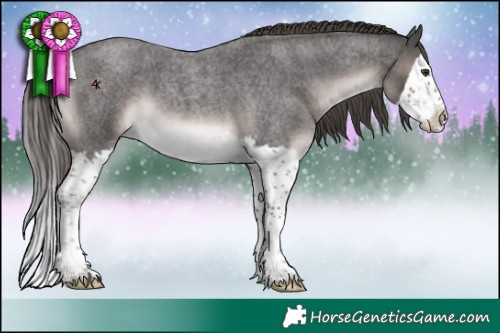 Horse Color:Platinum Liver Red Roan Splash 