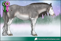 Horse Color:Platinum Liver Red Roan Splash 