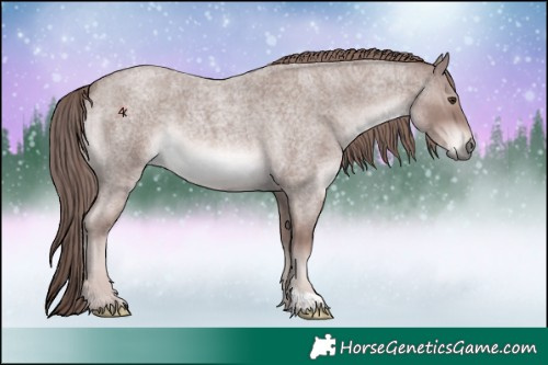 Horse Color:Platinum Red Roan 