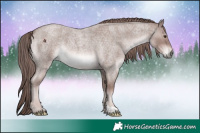Horse Color:Platinum Red Roan 