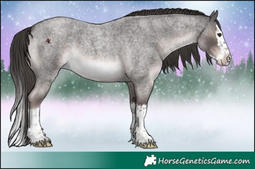 Horse Color:Platinum Liver Red Roan Splash 