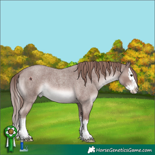 Horse Color:Platinum Red Roan Splash 
