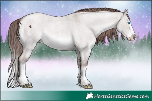 Horse Color:Platinum Red Roan Splash 