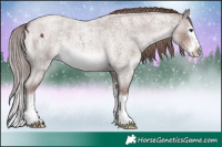 Horse Color:Platinum Red Roan Splash