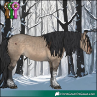 Horse Color:Brown Dun Tobiano 