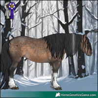 Horse Color:Brown Dun Tobiano 