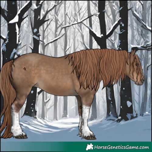 Horse Color:Liver Red Dun Tobiano 