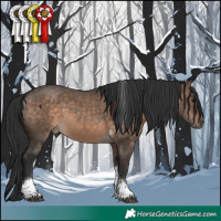 Horse Color:Brown Dun Tobiano 