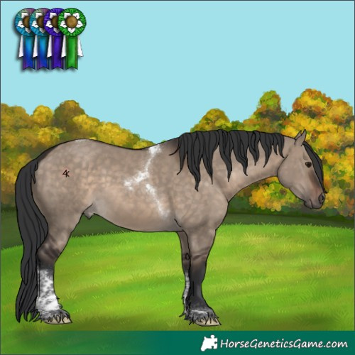 Horse Color:Brown Dun Tobiano 