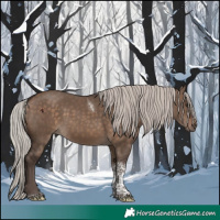 Horse Color:Silver Brown Dun Tobiano 