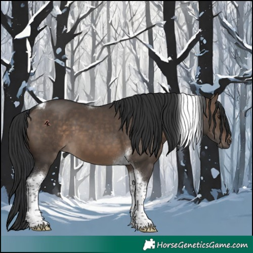 Horse Color:Brown Dun Tobiano 