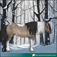 Horse Color:Brown Dun Tobiano 