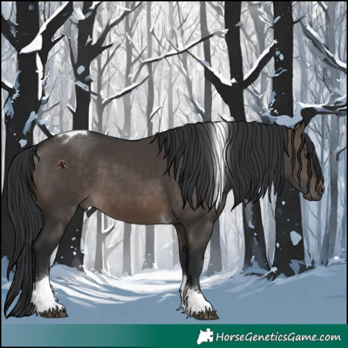 Horse Color:Brown Dun Tobiano 