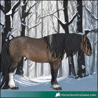 Horse Color:Brown Dun Tobiano 