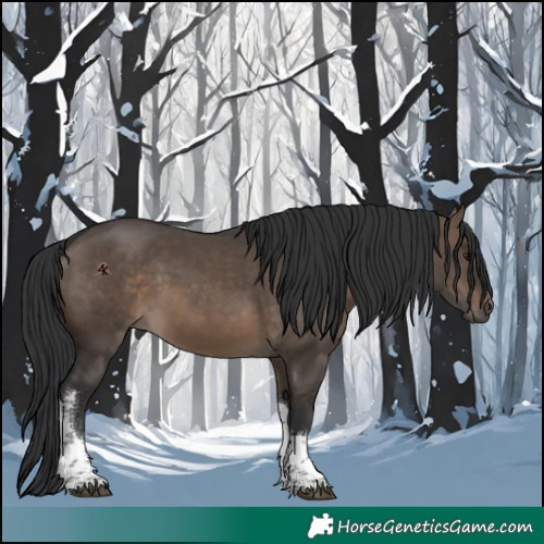 Horse Color:Brown Dun Tobiano 