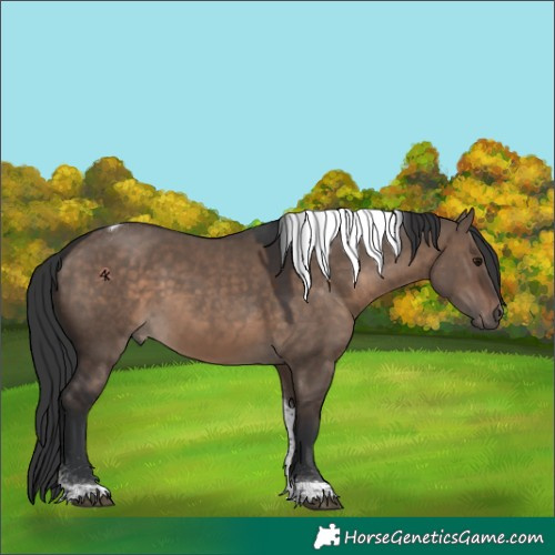 Horse Color:Brown Dun Tobiano 