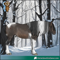Horse Color:Brown Dun Tobiano 