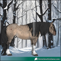 Horse Color:Brown Dun Tobiano 