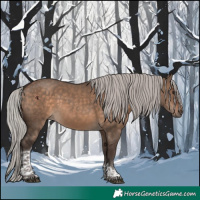 Horse Color:Silver Brown Dun Tobiano