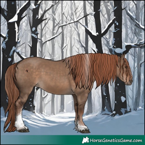 Horse Color:Liver Red Dun Tobiano 