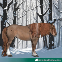 Horse Color:Liver Red Dun Tobiano