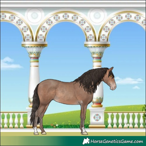 Horse Color:Sable Champagne Rabicano 