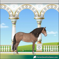 Horse Color:Sable Champagne Rabicano