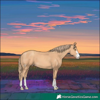 Horse Color:Gold Champagne 