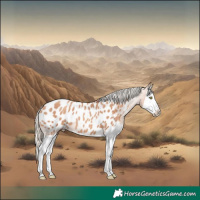 Horse Color:Gold Champagne Splash Blanket